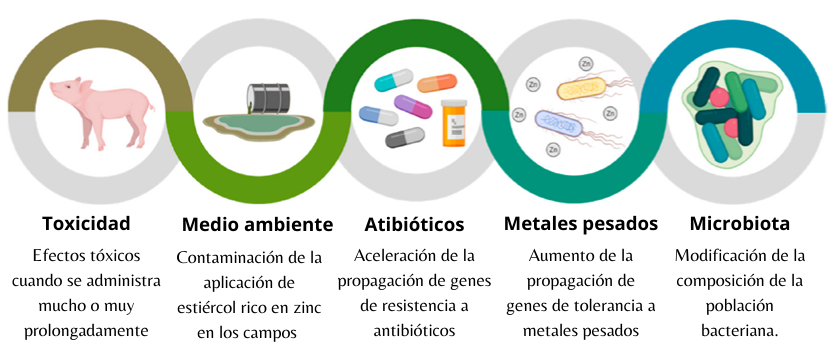 Toxicidad