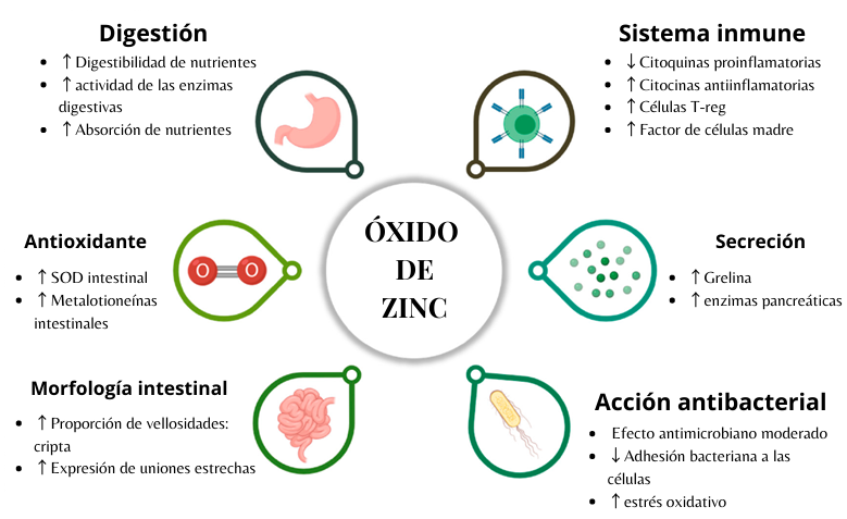 oxido-de-zinc
