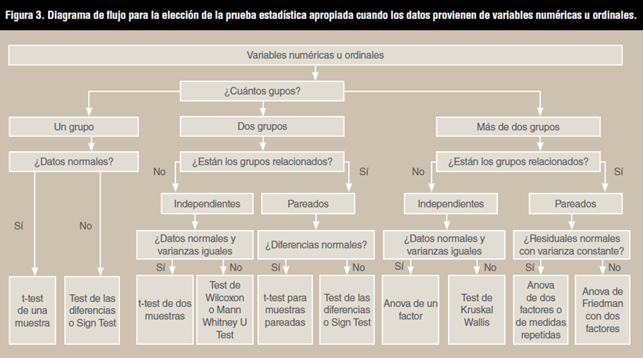 variables-numericas-estadistica