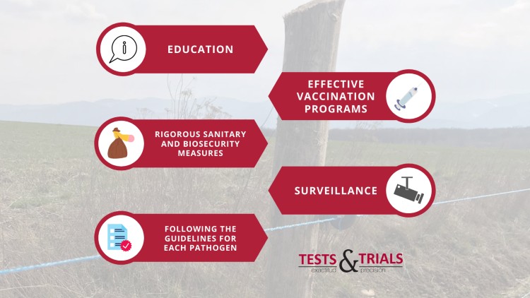 zoonosis prevention and control