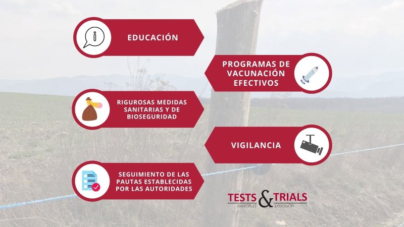 zoonosis prevencion y control
