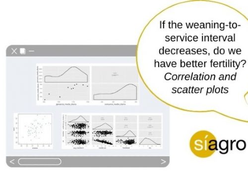 If the weaning-to-service interval decreases, do we have better fertility? Correlation and scatter plots