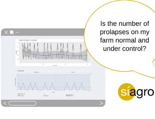 Is the number of prolapses on my farm normal and under control?