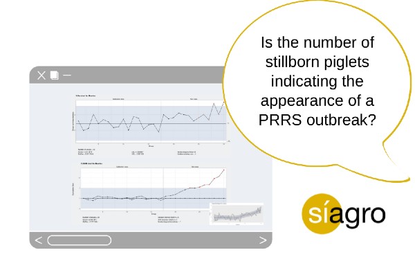 PRRS outbreak