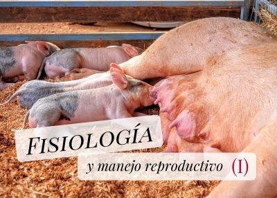 fisiologia cerda