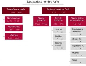 diagramas de productividad